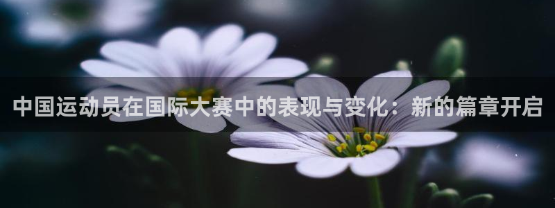 中国运动员在国际大赛中的表现与变化：新的篇章开启