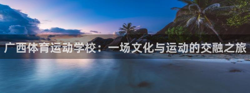 广西体育运动学校：一场文化与运动的交融之旅